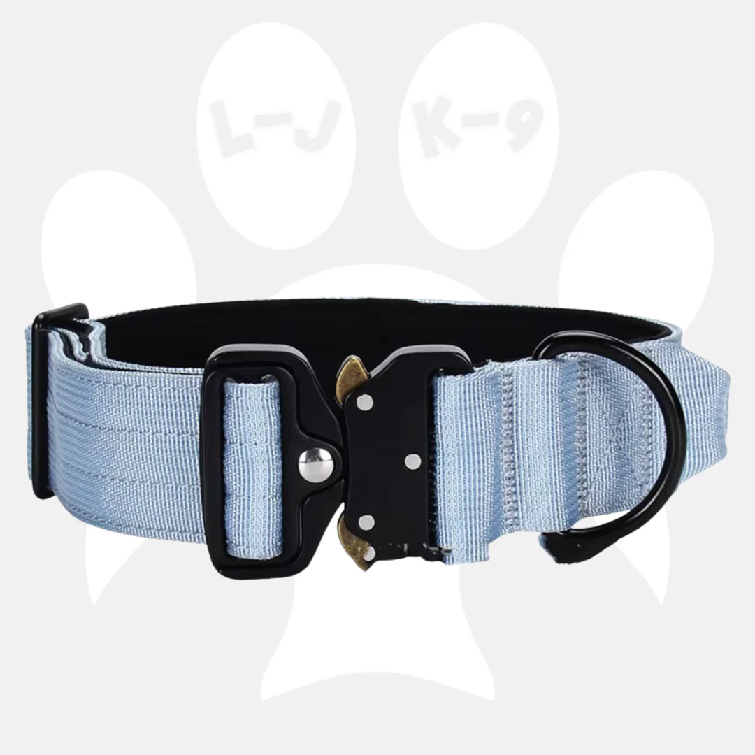 Luxury Sleek Padded Dog Collar - Image 5
