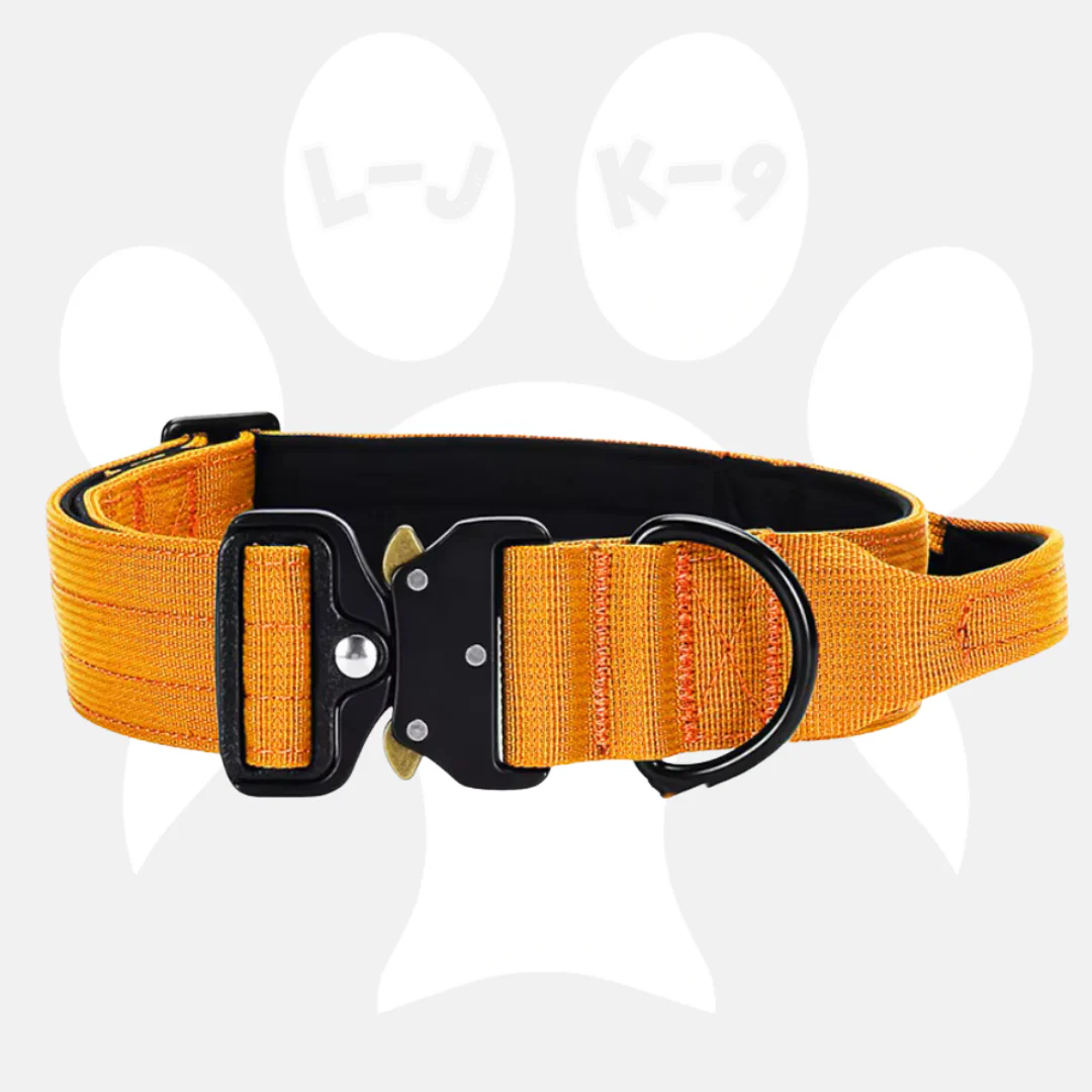 Luxury Sleek Padded Dog Collar - Image 6