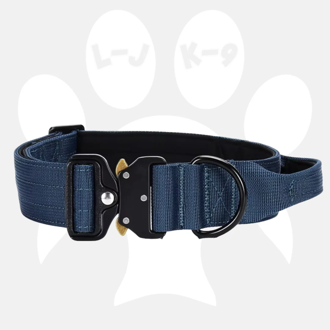 Luxury Sleek Padded Dog Collar - Image 7