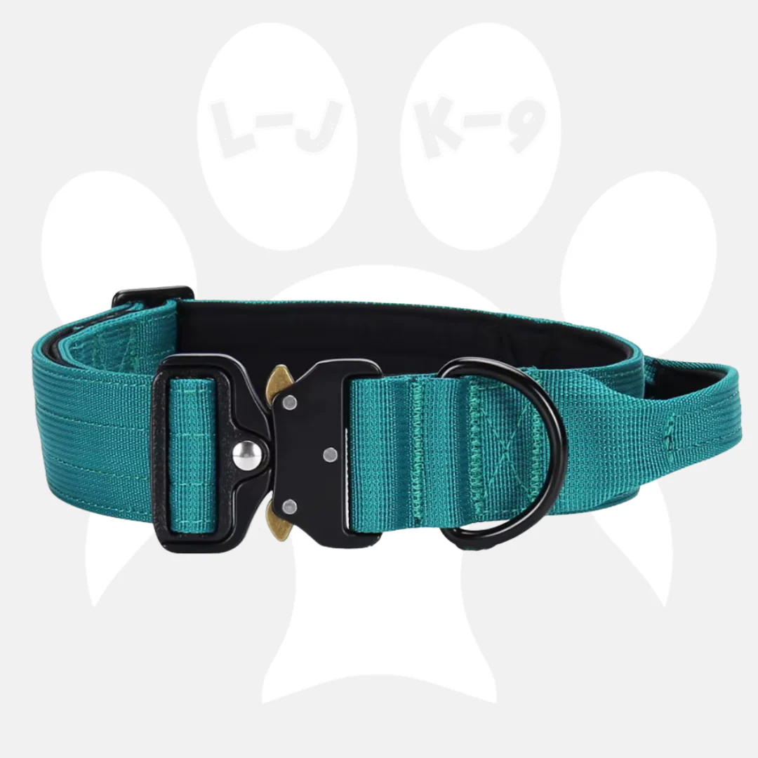 Luxury Sleek Padded Dog Collar - Image 8