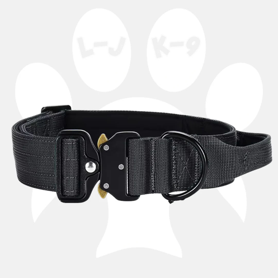 Luxury Sleek Padded Dog Collar - Image 9