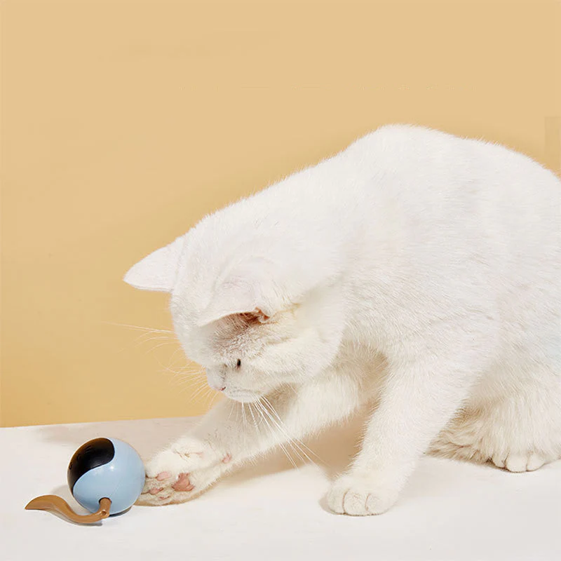 Magic Ball Pet Electric Intelligent Cat Teaser - Image 5