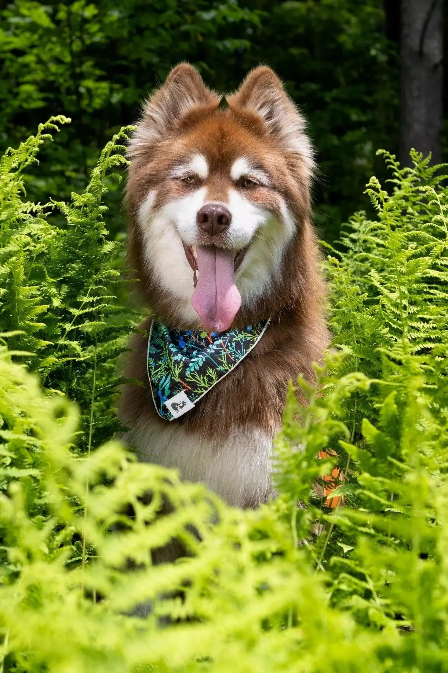 Magical Fern Forest Dog Bandana & Matching Keychain - Image 3