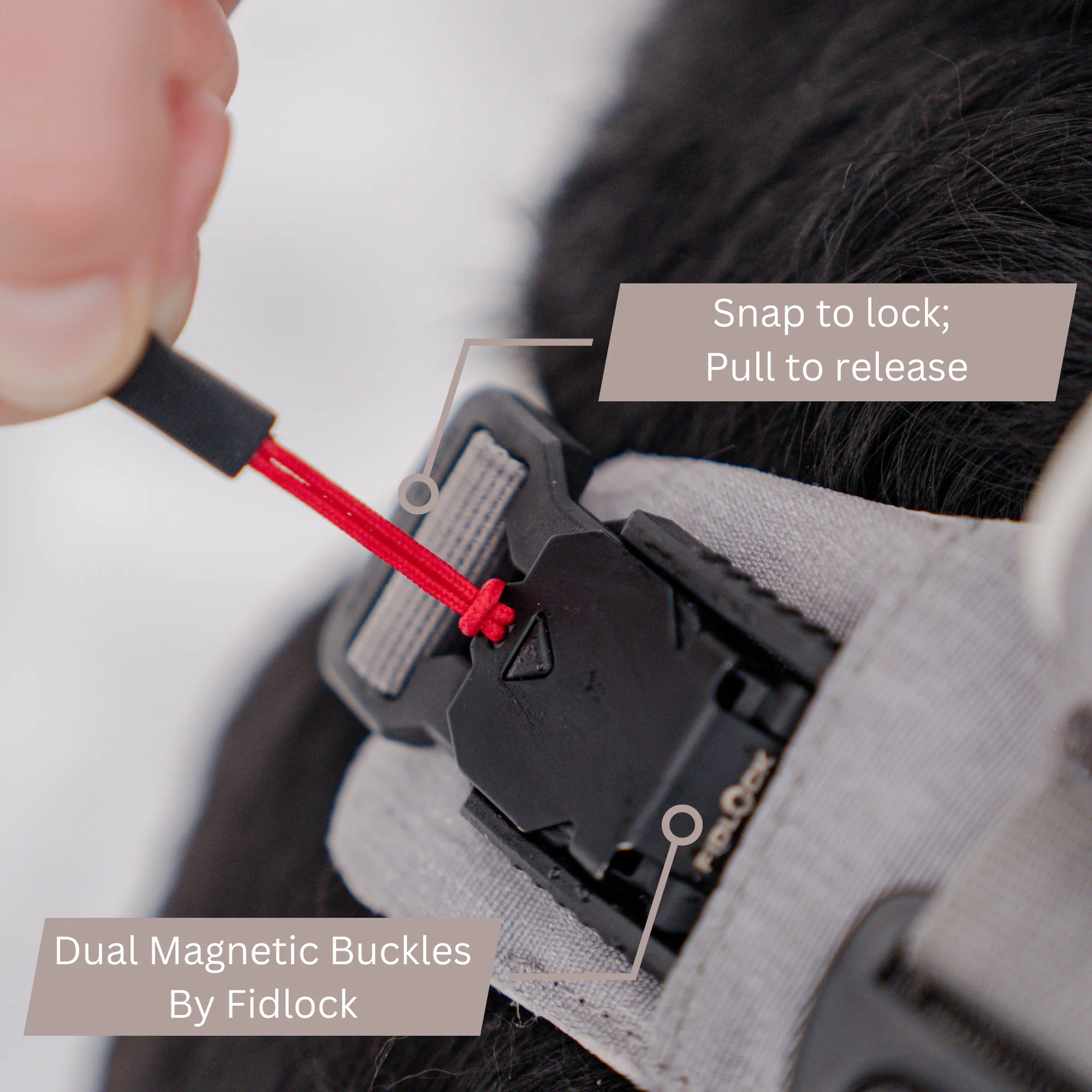 Magnetic Dog Harness - One-Hand Clip, No-Pull Design - Image 2
