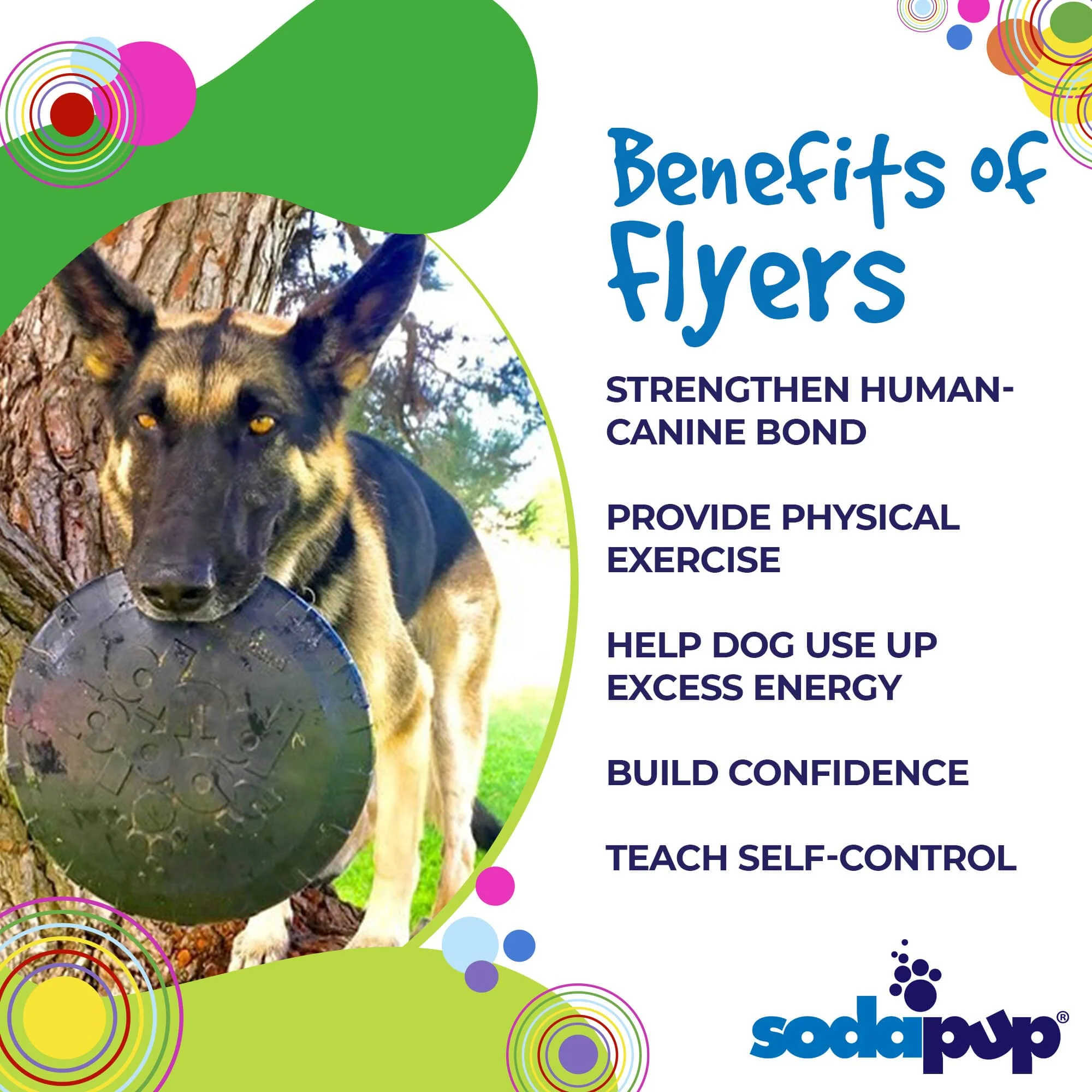 Magnum Bottle Top Flyer Rubber Frisbee for Heavy Chewers | Large | USA Made - Image 3