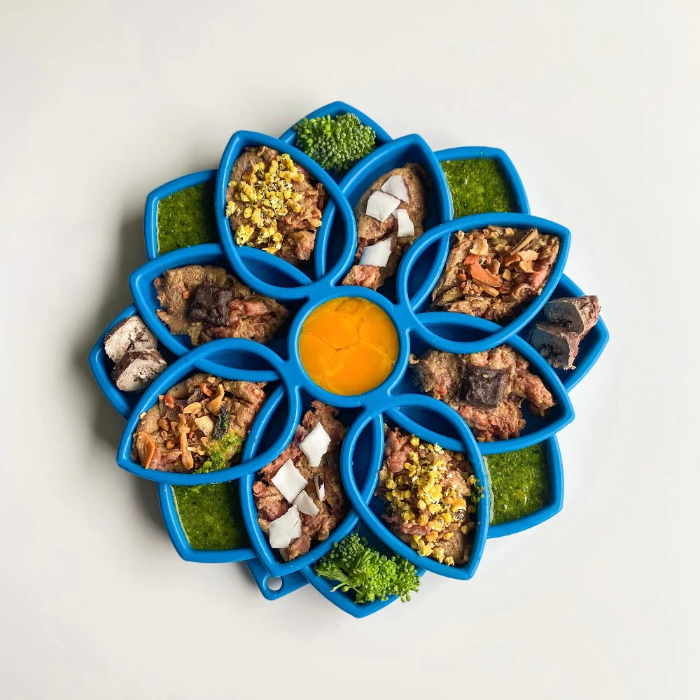 Mandala eTray Shallow Slow Feeder Dog Bowl for Enrichment | USA Made - Image 11