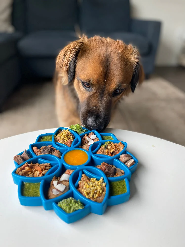 Mandala eTray Shallow Slow Feeder Dog Bowl for Enrichment | USA Made - Image 12