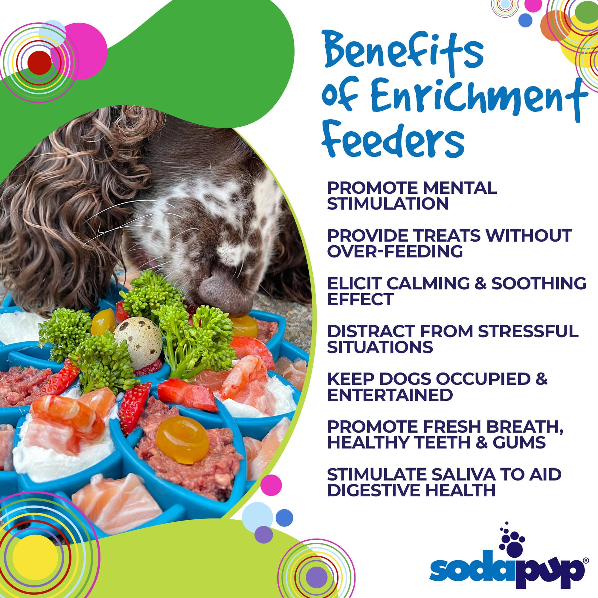 Mandala eTray Shallow Slow Feeder Dog Bowl for Enrichment | USA Made - Image 7