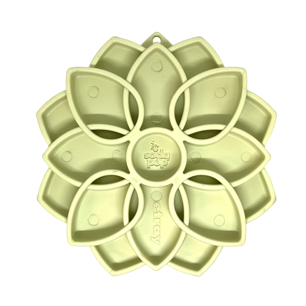 Mandala Softie eTray Shallow Slow Feeder Dog Bowl with Suction Cups |  USA Made - Image 2