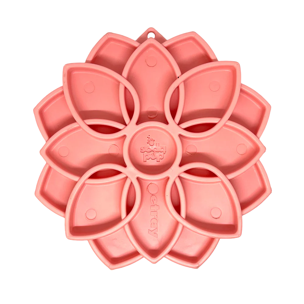Mandala Softie eTray Shallow Slow Feeder Dog Bowl with Suction Cups |  USA Made - Image 3