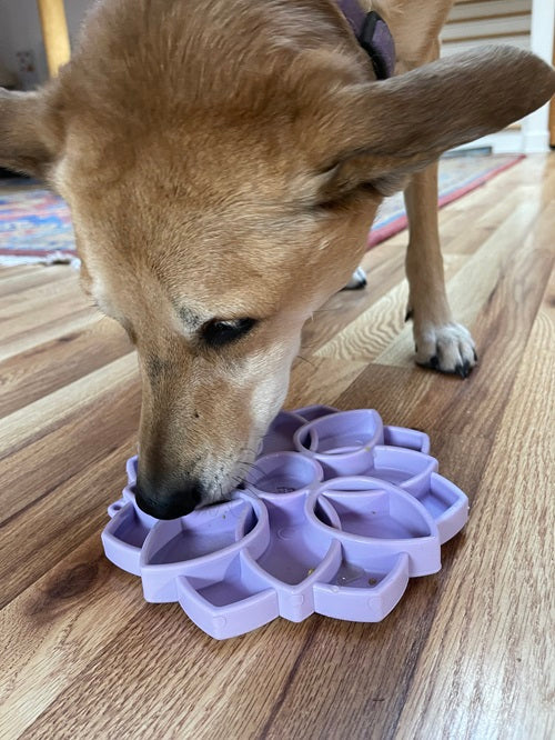 Mandala Softie eTray Shallow Slow Feeder Dog Bowl with Suction Cups |  USA Made - Image 8