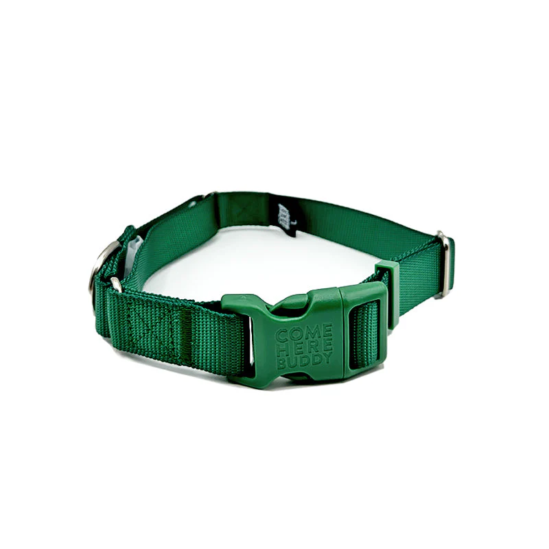 Martingale Dog Collar - Image 11