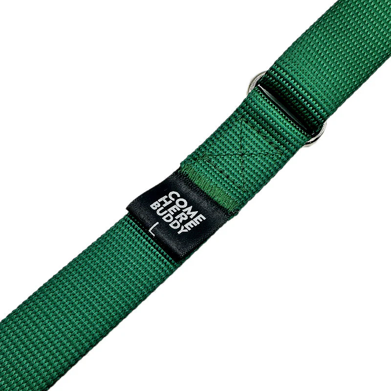 Martingale Dog Collar - Image 12
