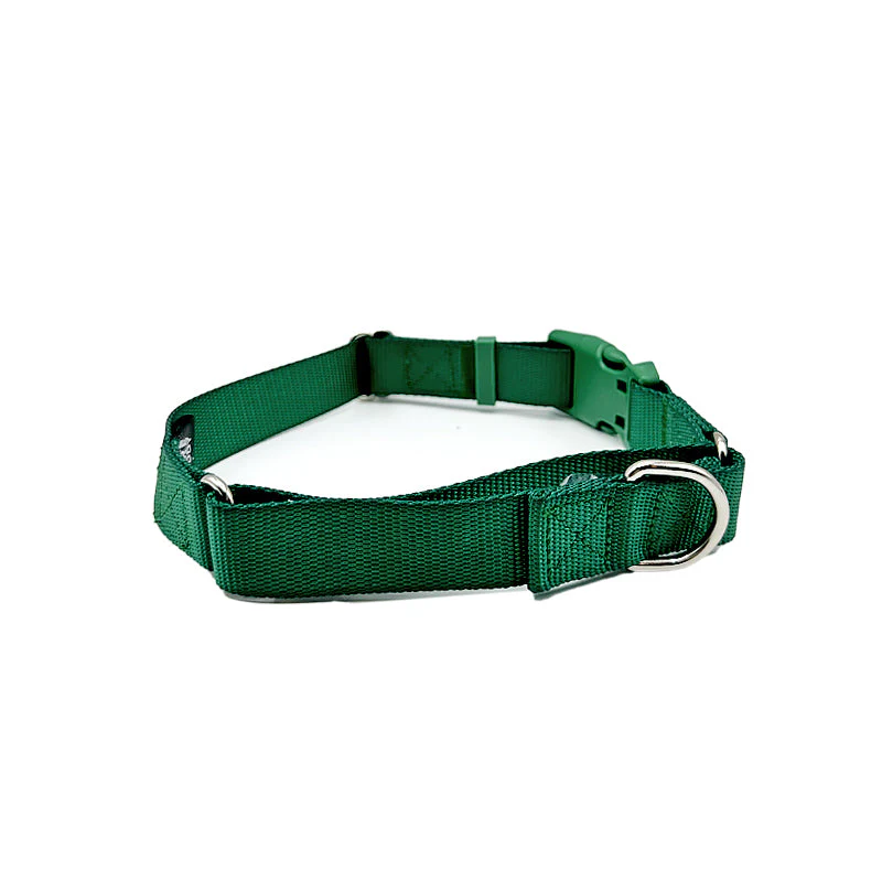 Martingale Dog Collar - Image 13