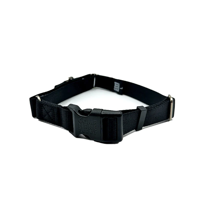 Martingale Dog Collar - Image 2