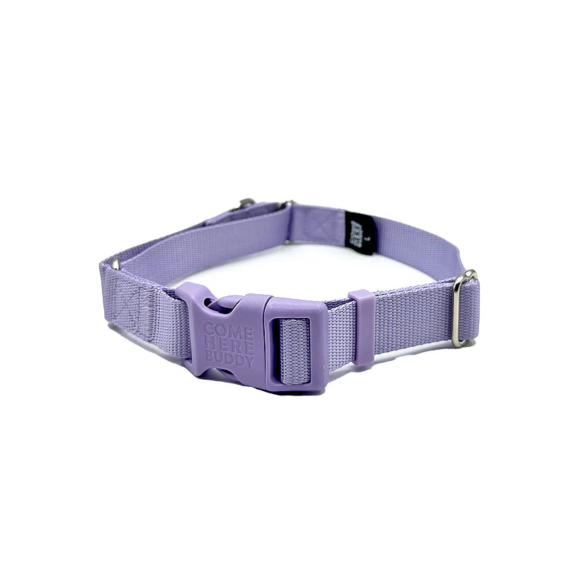 Martingale Dog Collar - Image 20