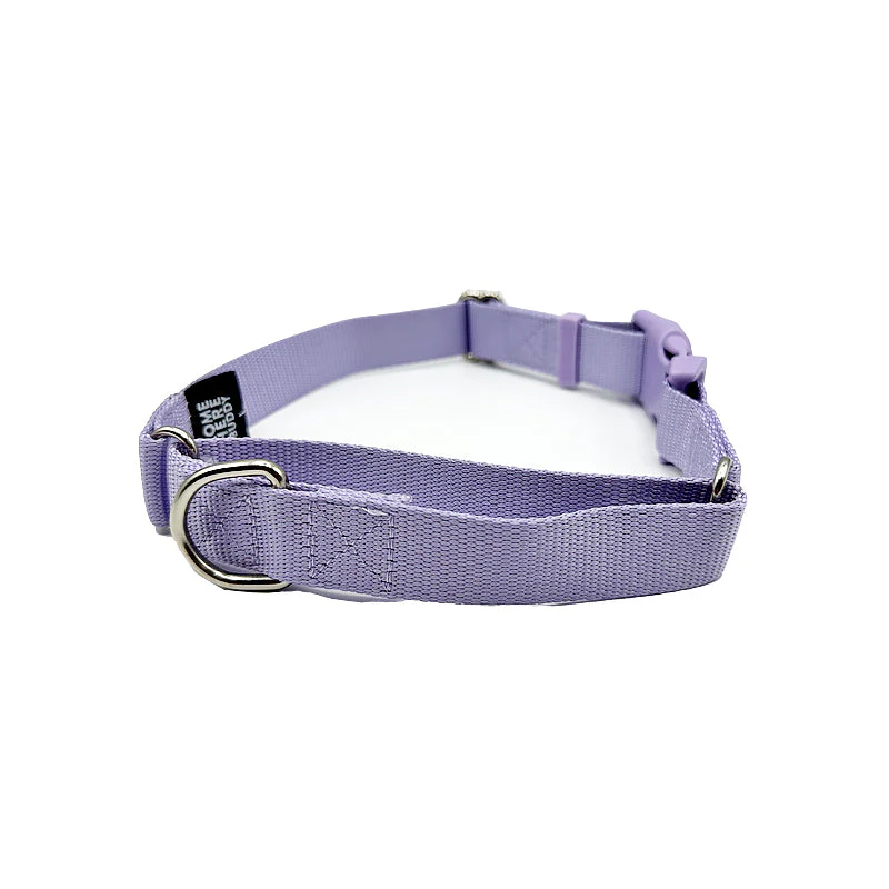 Martingale Dog Collar - Image 21