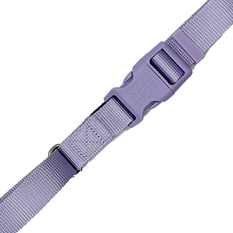 Martingale Dog Collar - Image 24