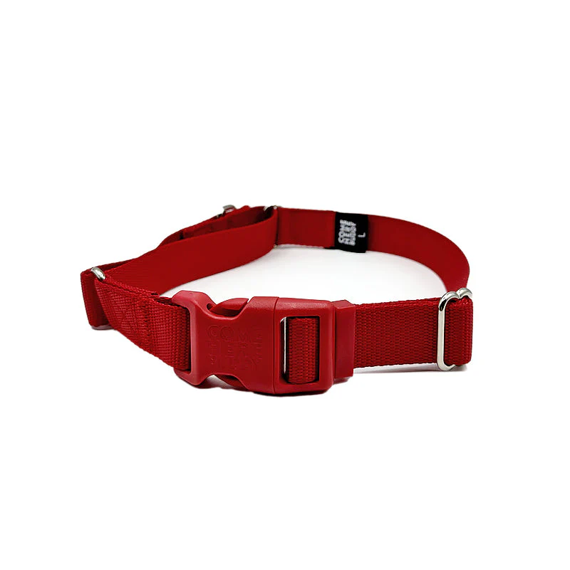 Martingale Dog Collar - Image 30