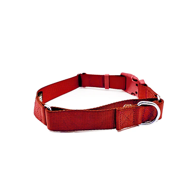 Martingale Dog Collar - Image 31