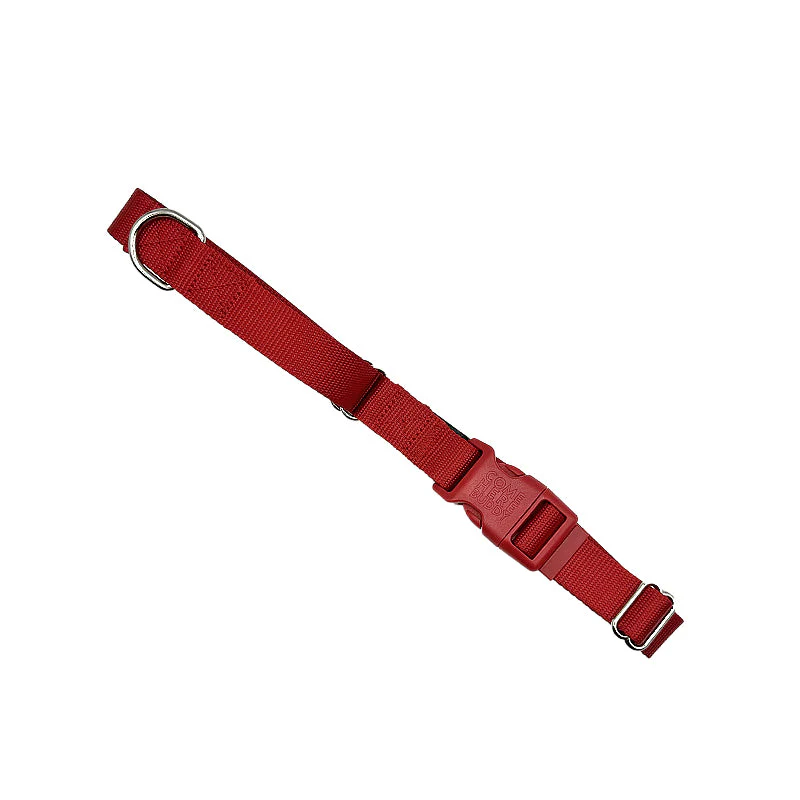 Martingale Dog Collar - Image 32