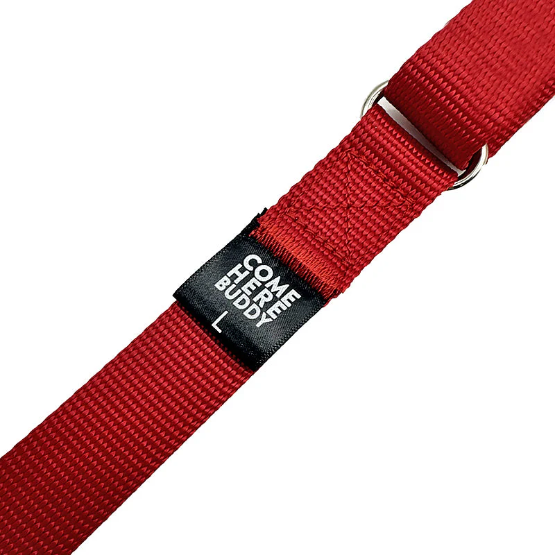 Martingale Dog Collar - Image 33