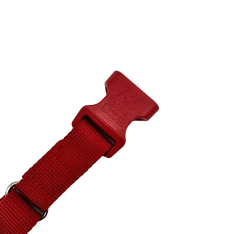 Martingale Dog Collar - Image 34