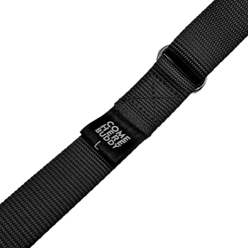 Martingale Dog Collar - Image 5