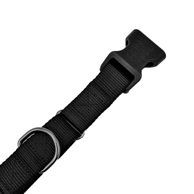 Martingale Dog Collar - Image 6
