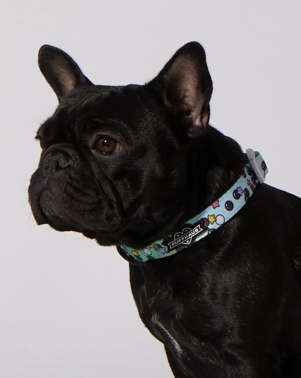 Matcha Boba Dog Collar & Bowtie - Image 3