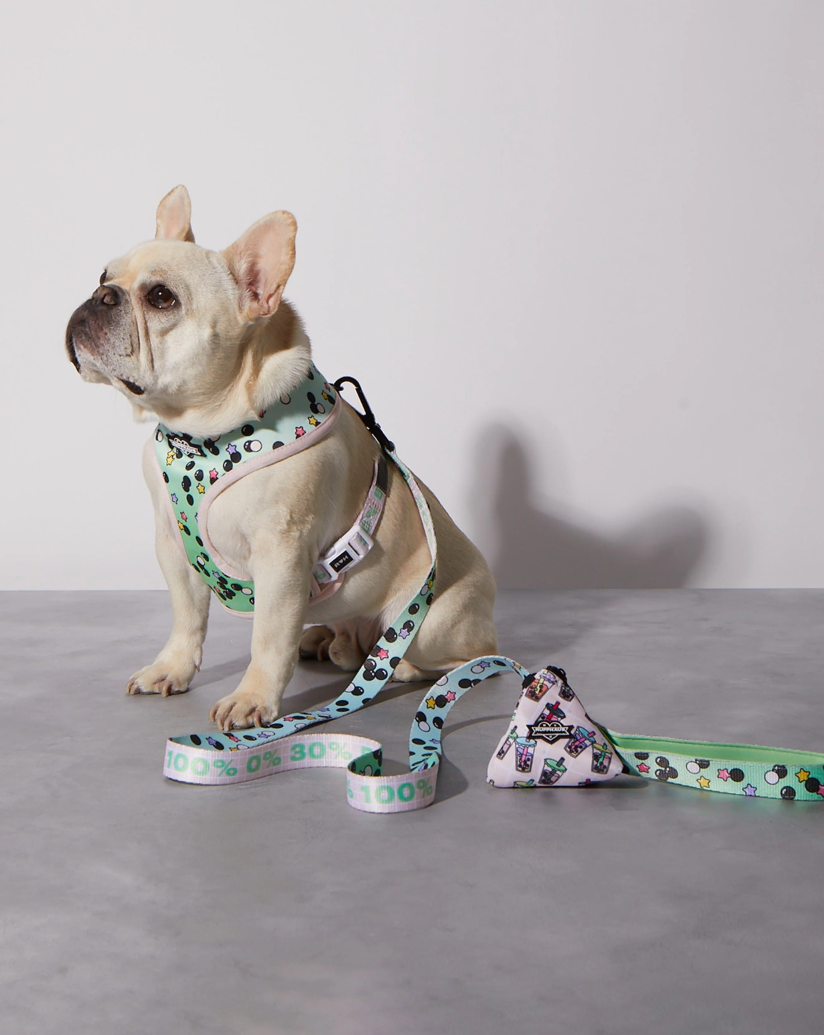 Matcha Boba Dog Leash - Image 2
