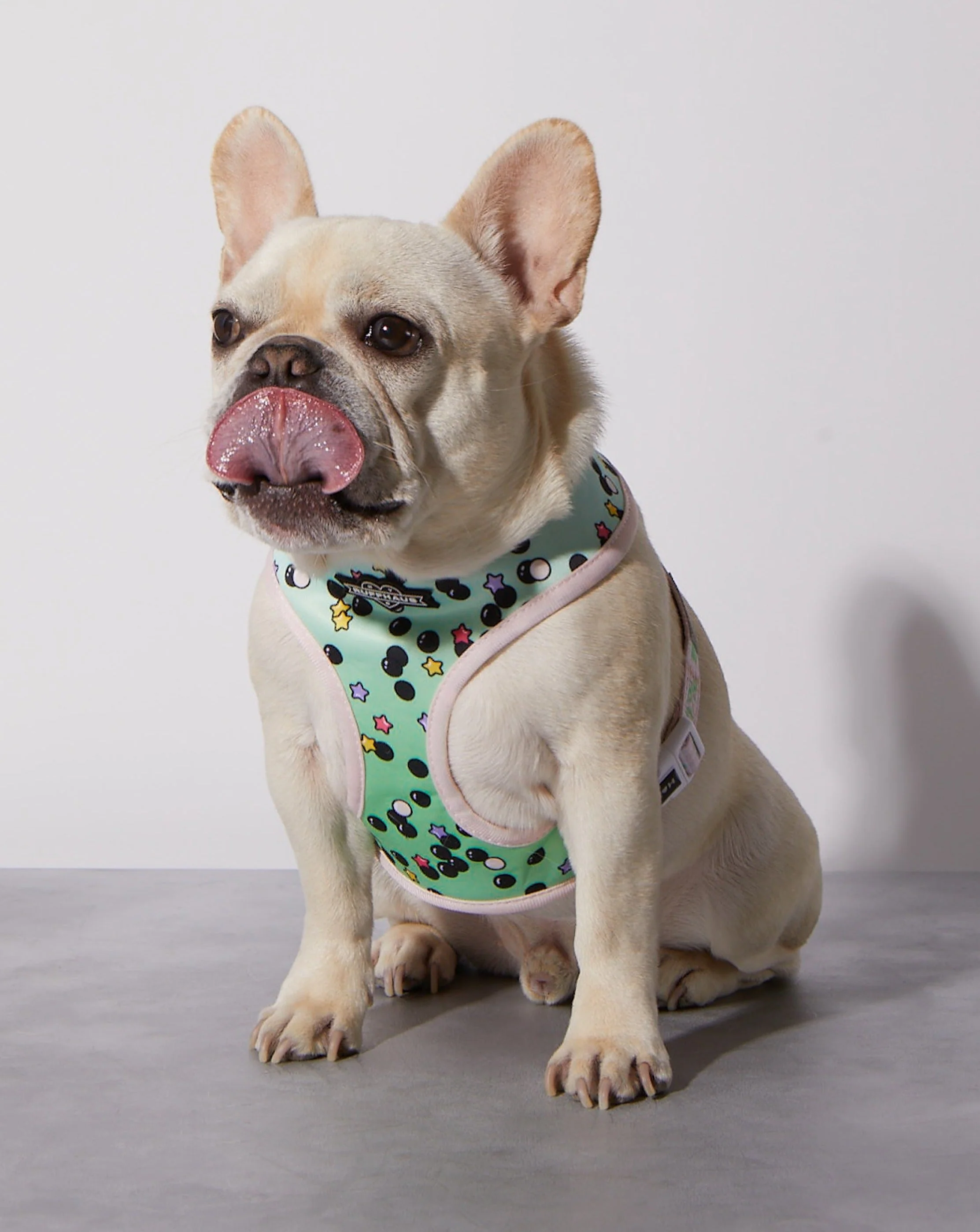Matcha Boba Reversible Harness - Image 2