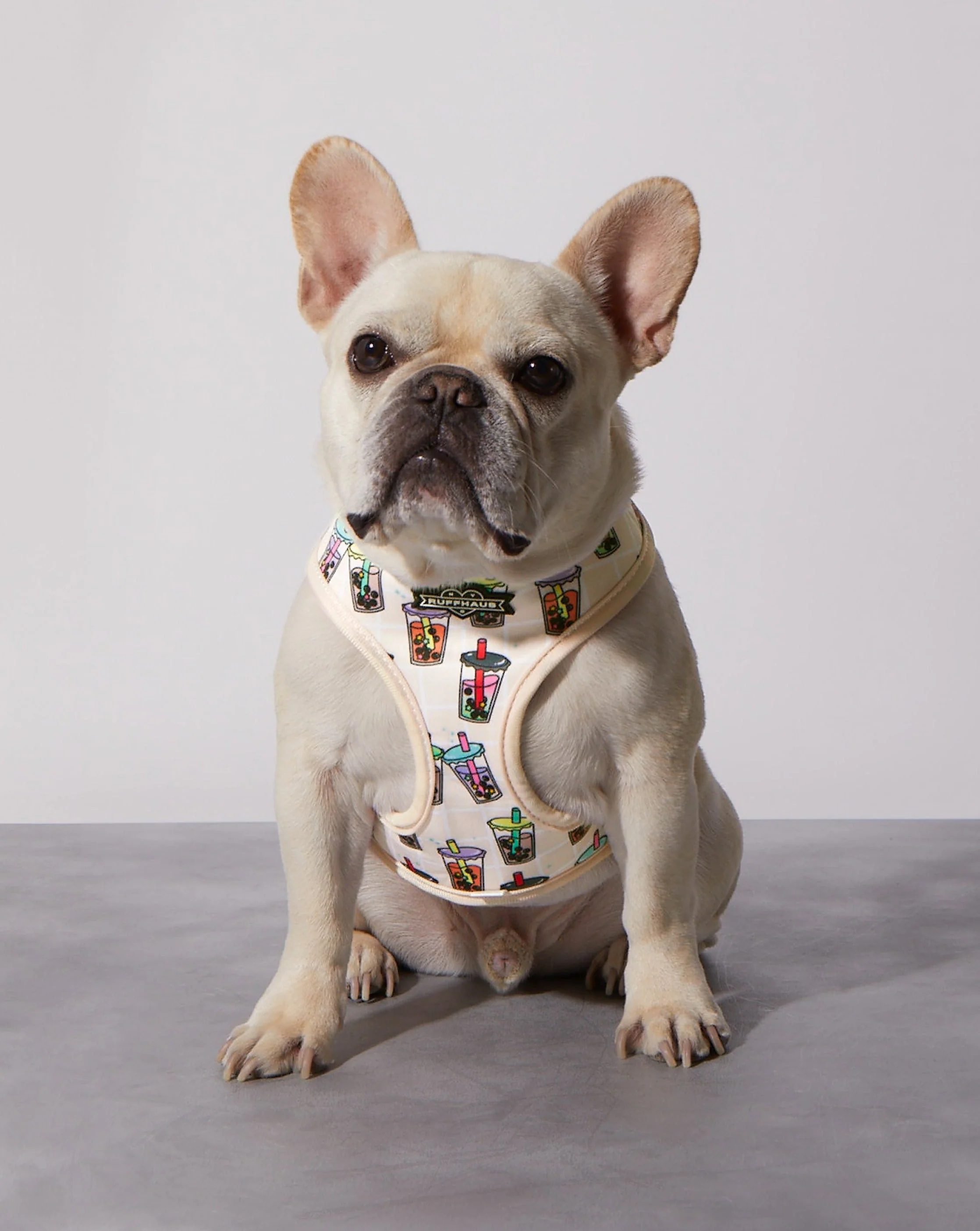 Matcha Boba Reversible Harness - Image 3