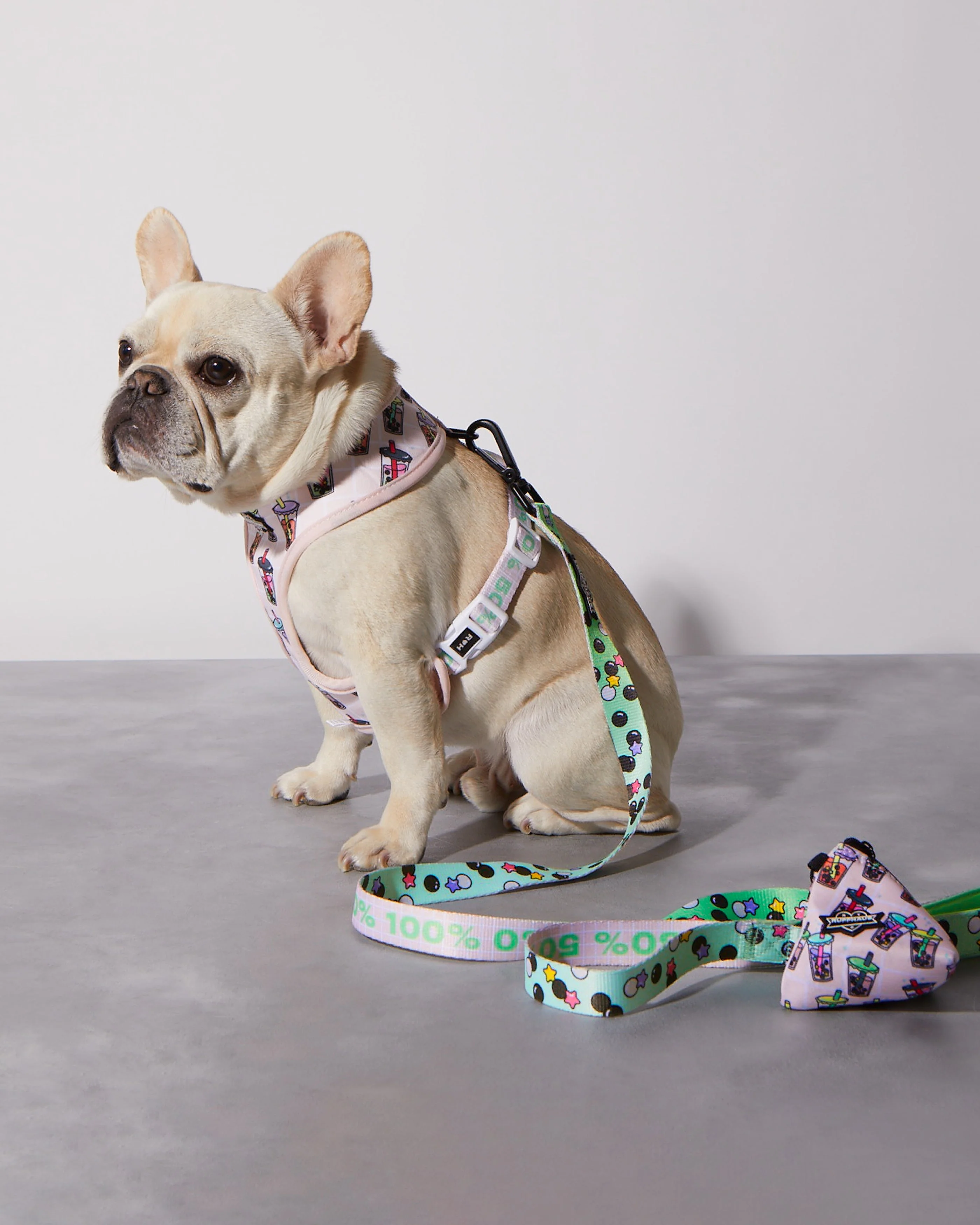 Matcha Boba Reversible Harness - Image 4
