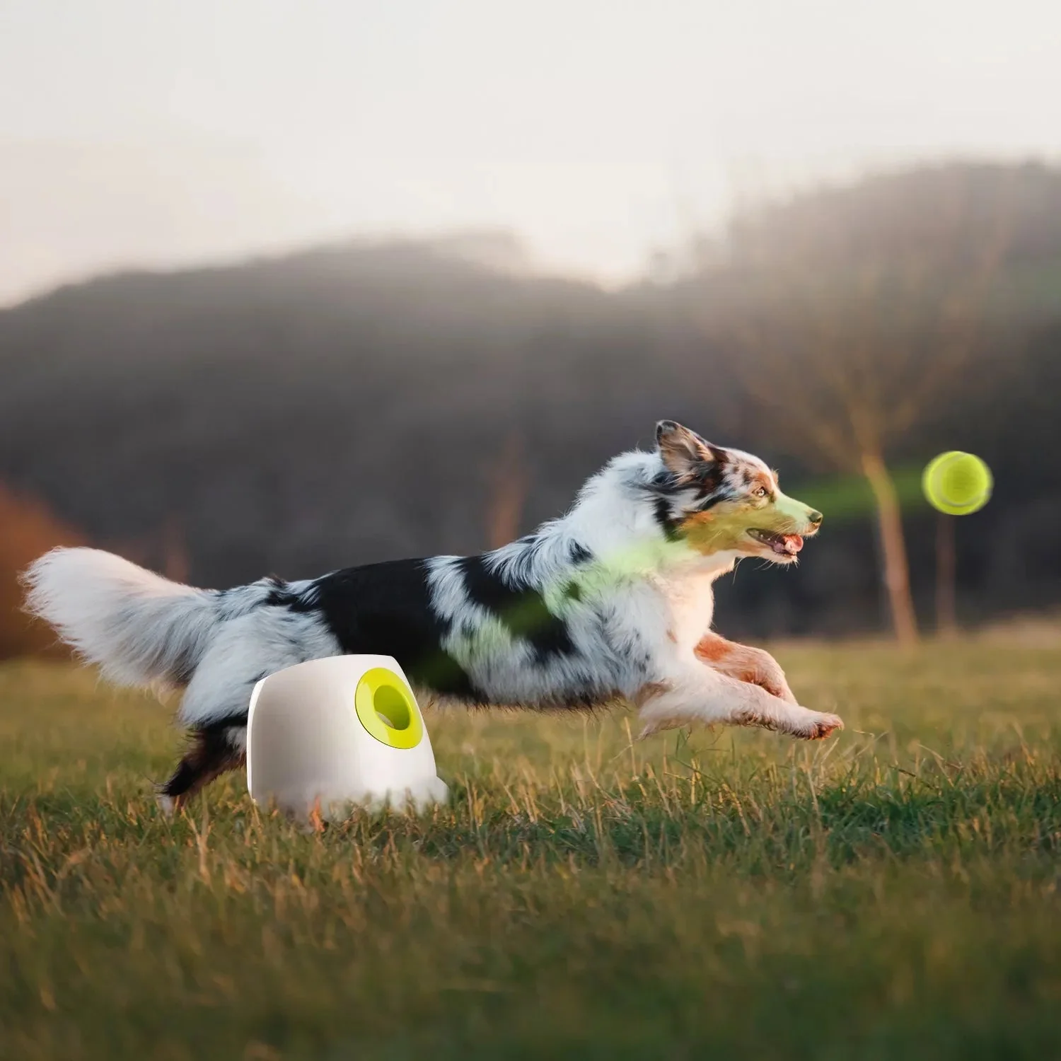 Maxi Hyper Fetch Automatic Ball Launcher For Large Dogs - Image 3