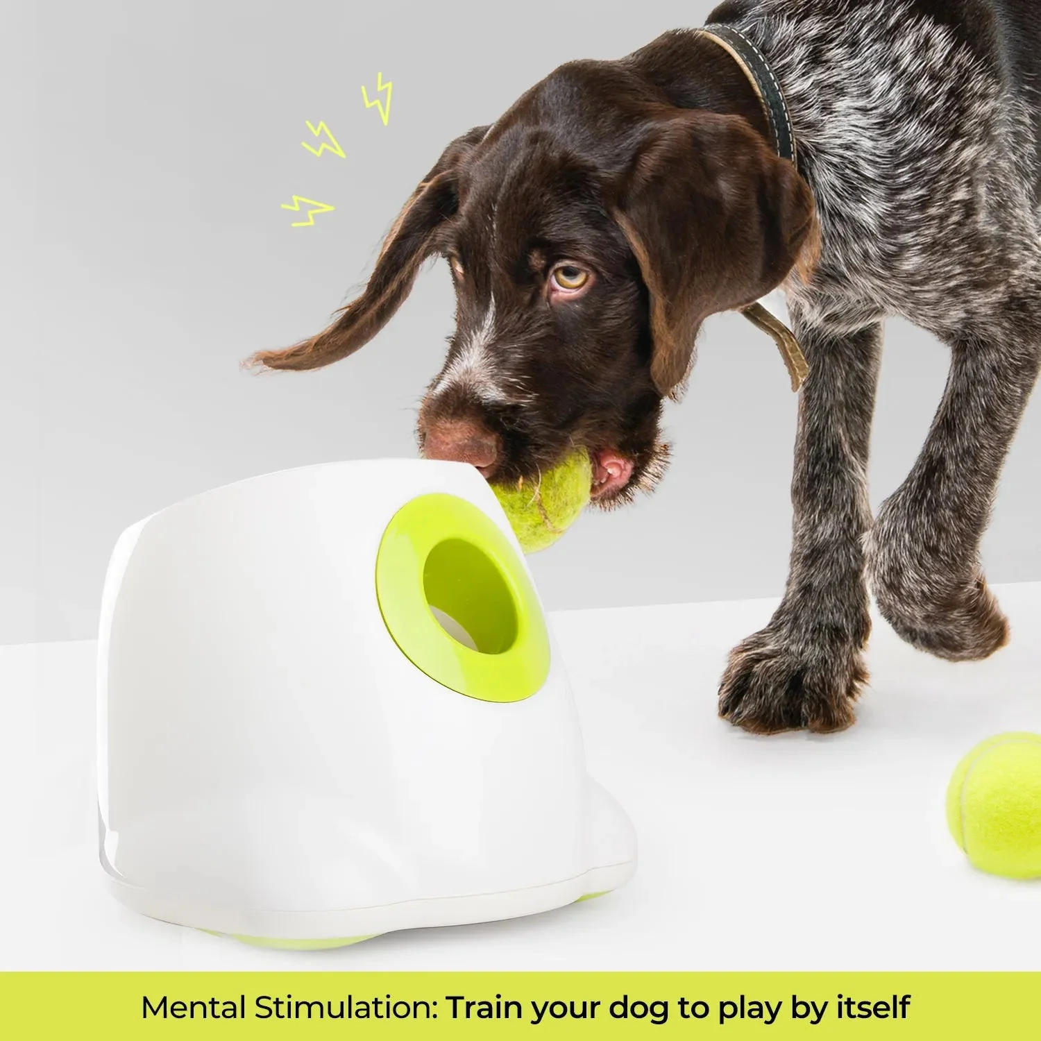 Maxi Hyper Fetch Automatic Ball Launcher For Large Dogs - Image 4
