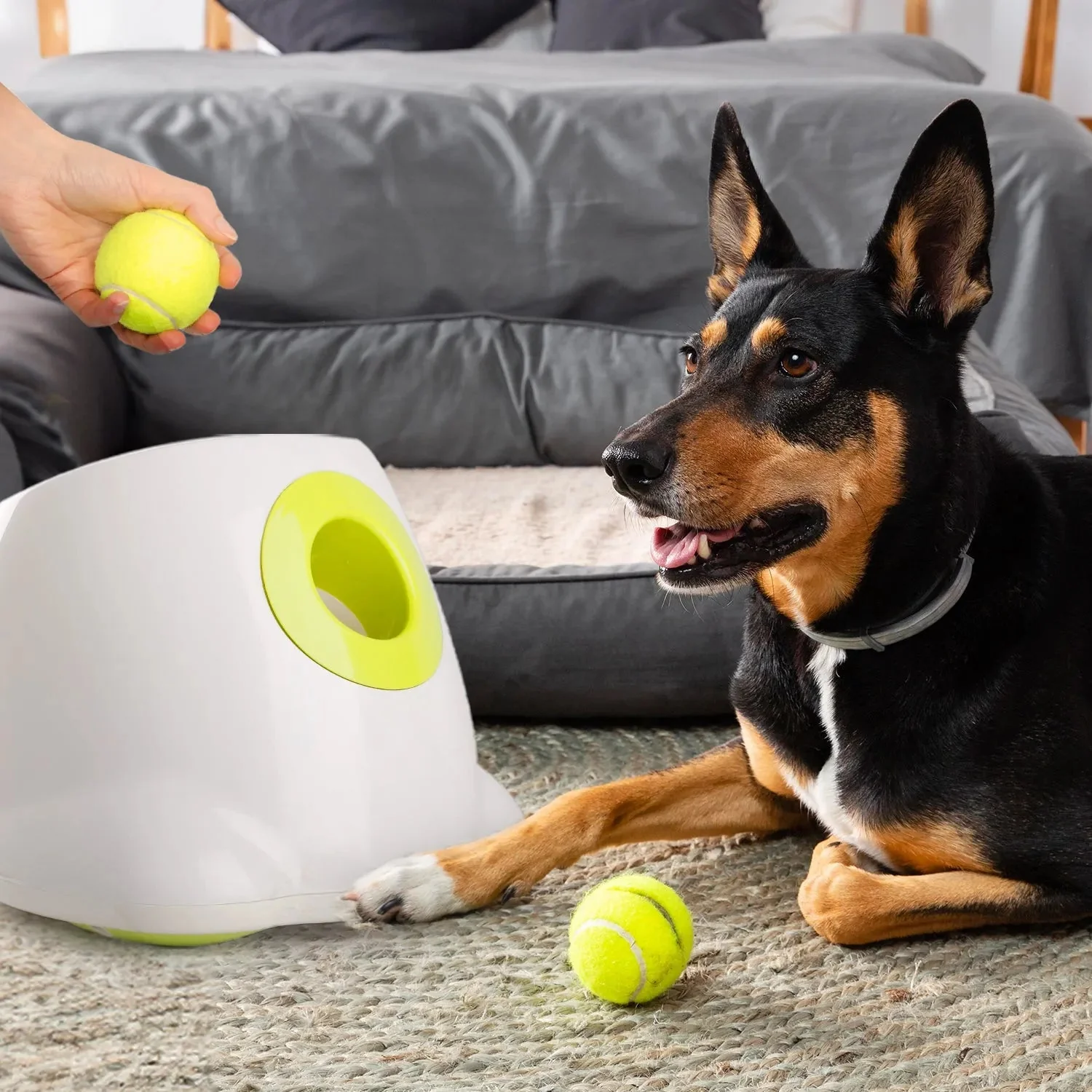 Maxi Hyper Fetch Automatic Ball Launcher For Large Dogs - Image 6