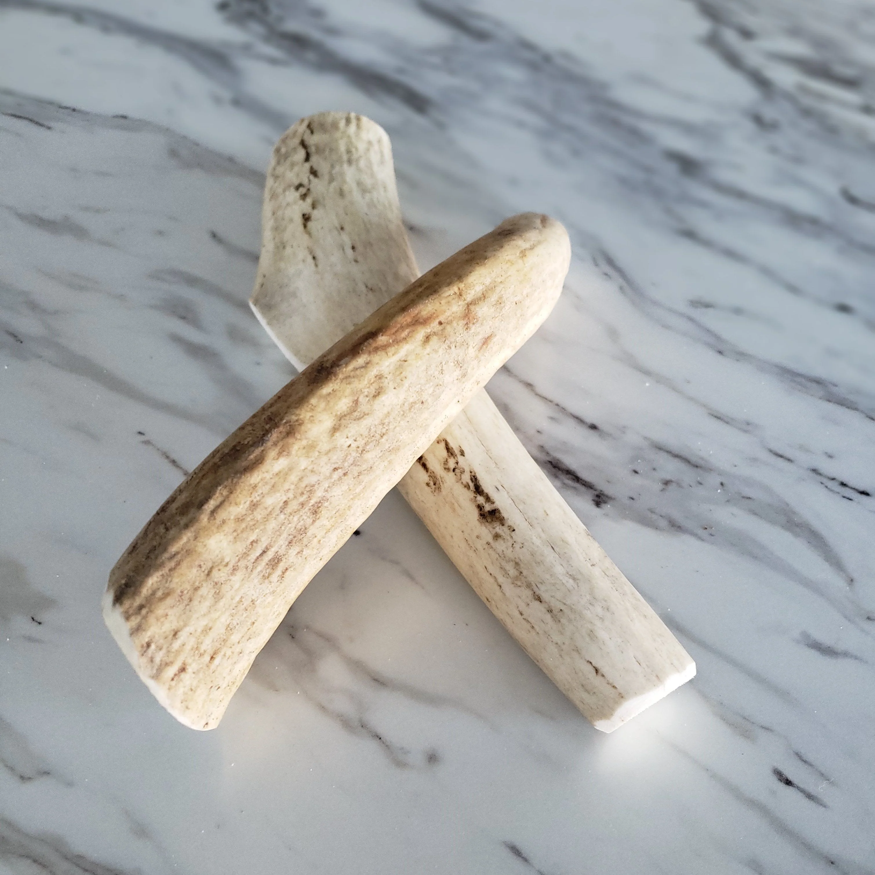 Medium Whole Elk Antler Dog Chew - Image 2