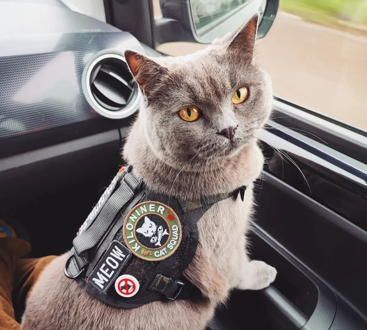MEOW Morale Patch - Image 5