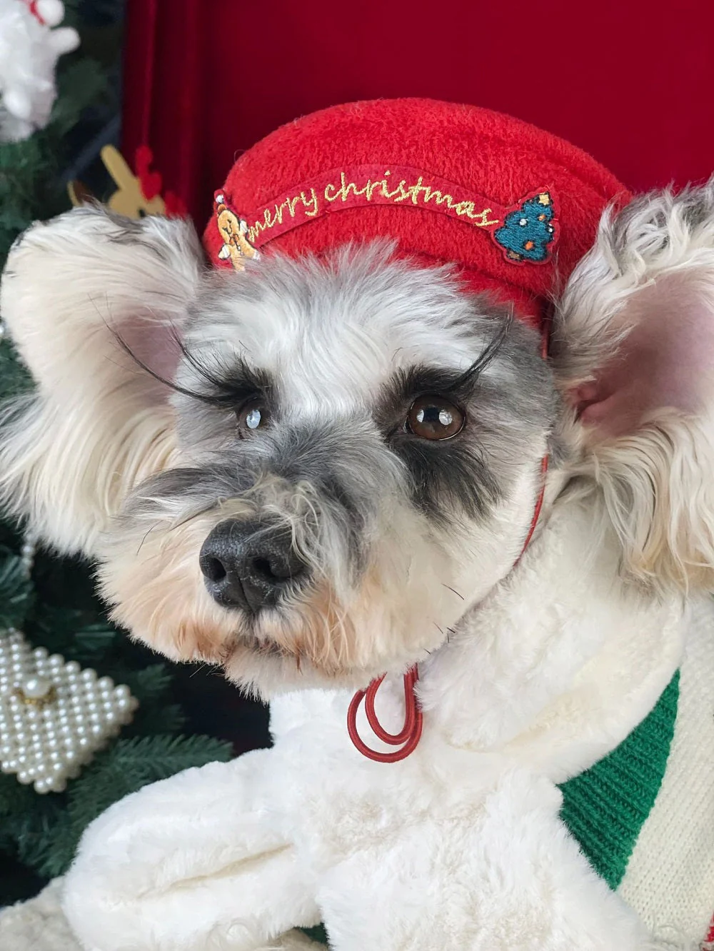 Merry Pup Beret Dog Hat - Image 2