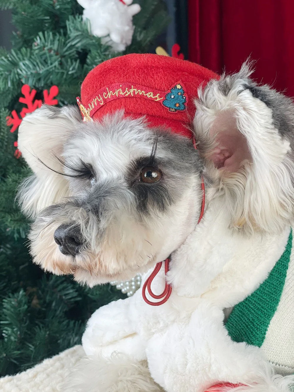 Merry Pup Beret Dog Hat - Image 3