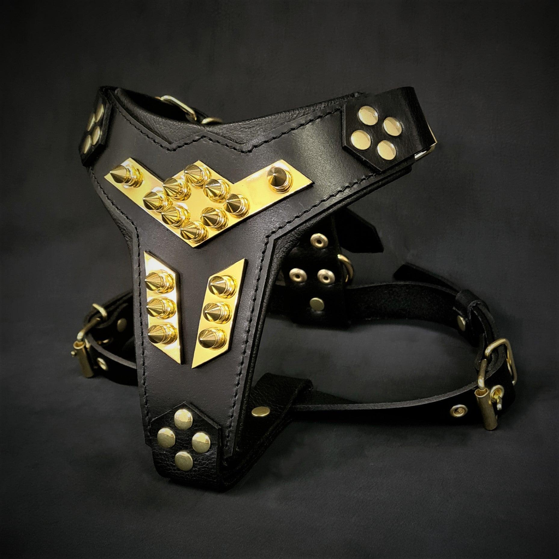 ''Midas'' leather dog harness gold medium size - Image 2