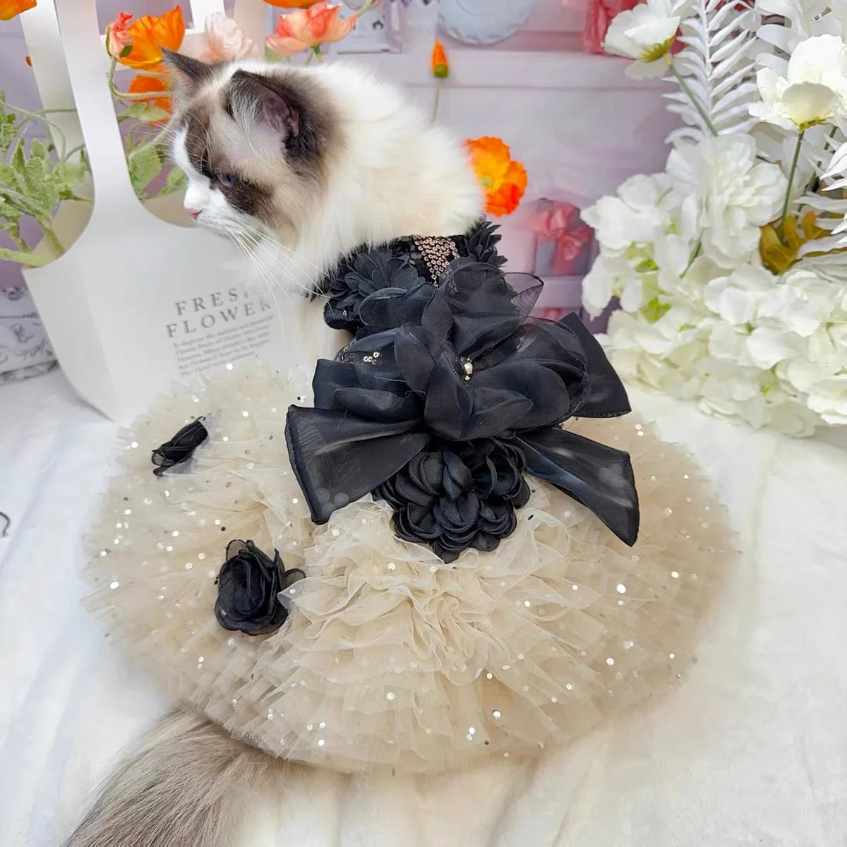 Midnight Glam Pet Dress - Image 3