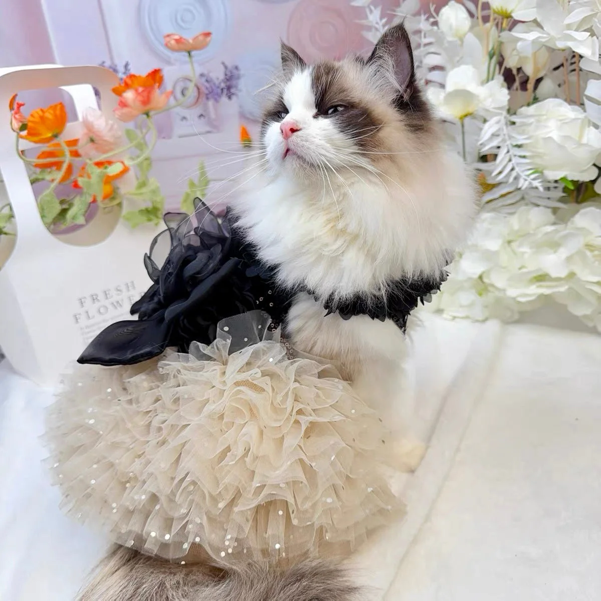 Midnight Glam Pet Dress - Image 4