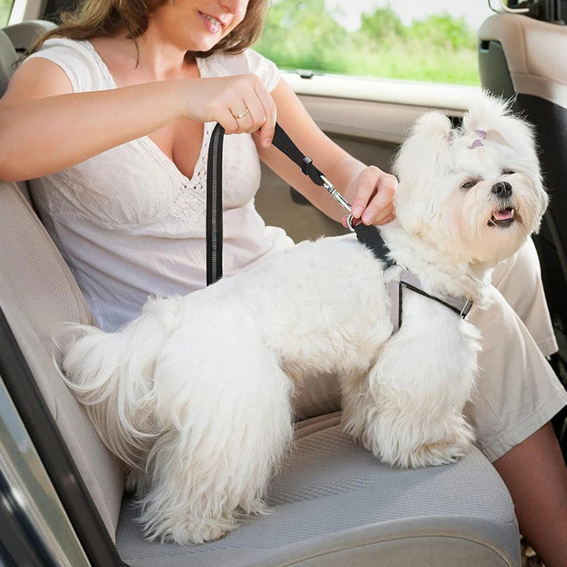 Milou & Lumi Adjustable Pet Car Seat Belt - Image 6