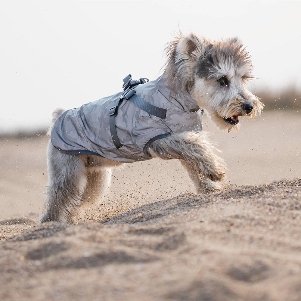 Milou & Lumi Dog Waterproof Reflective Jacket with Harness - Image 11