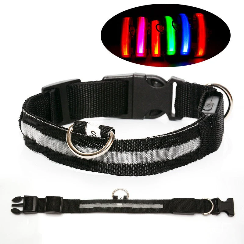 Milou & Lumi LED Glowing Pet Collar - Rainbow - Image 3
