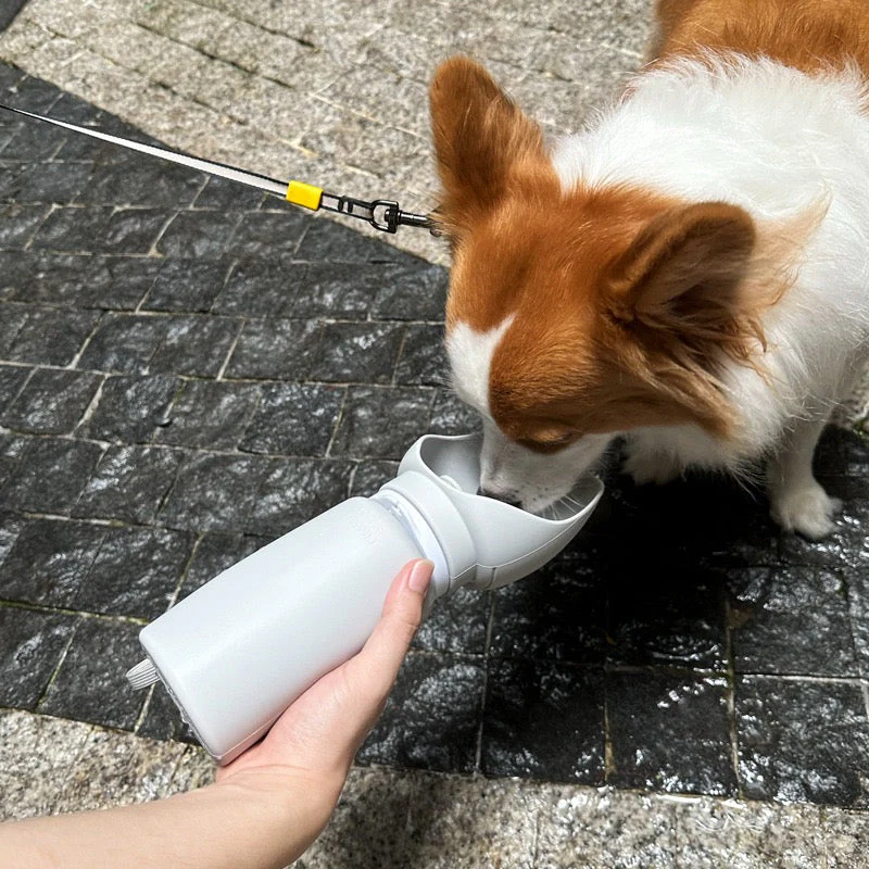 Milou & Lumi Portable Collapsible Pet Water Bottle - Image 2