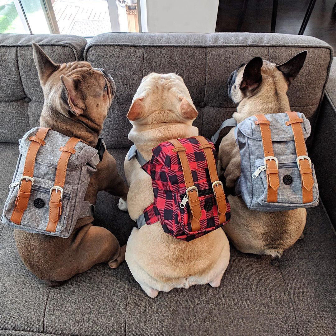 Mini Adventure Dog Backpack – Stylish & Functional - Image 7