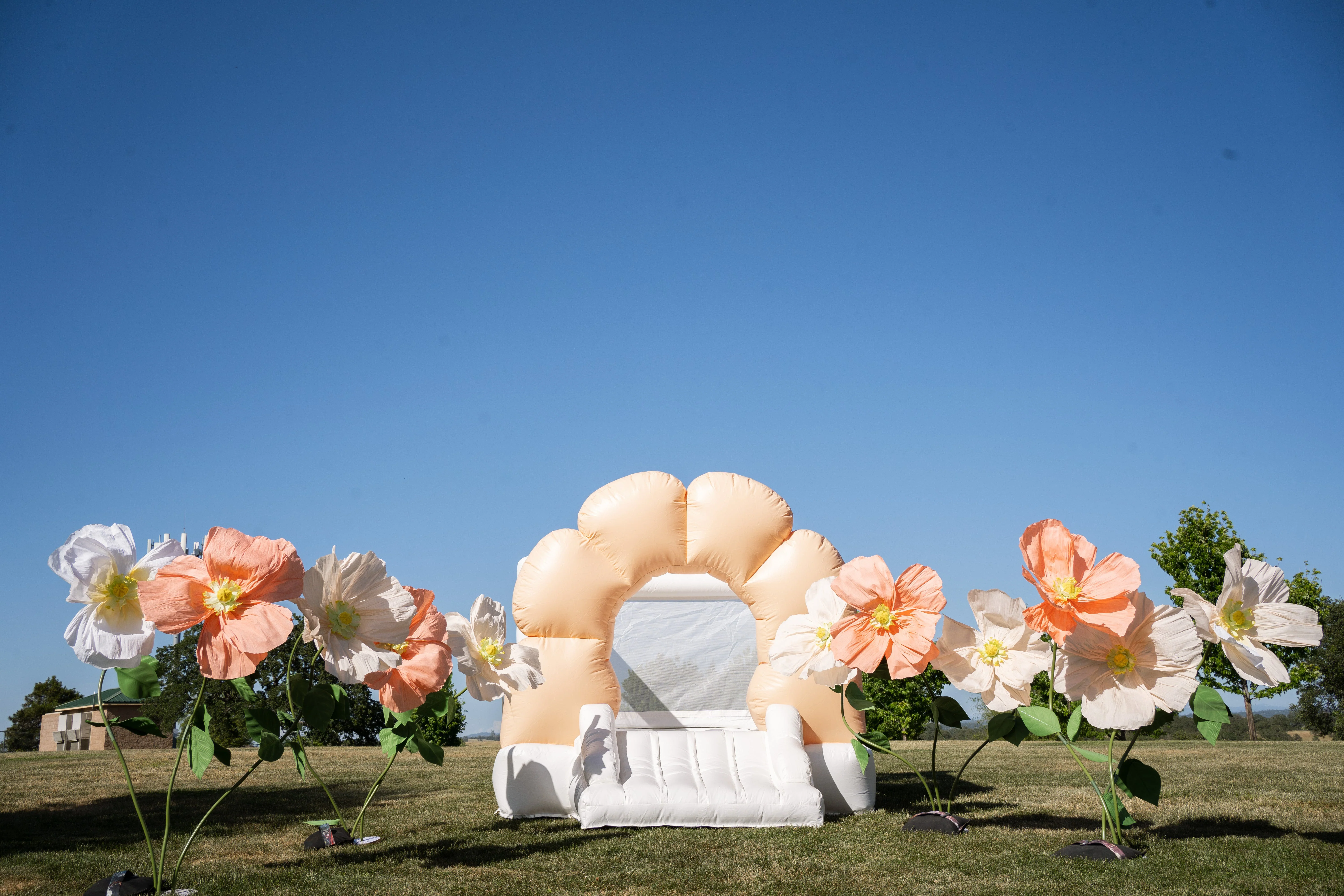 Mini Daisy - Peach Flower Bounce House - Image 4